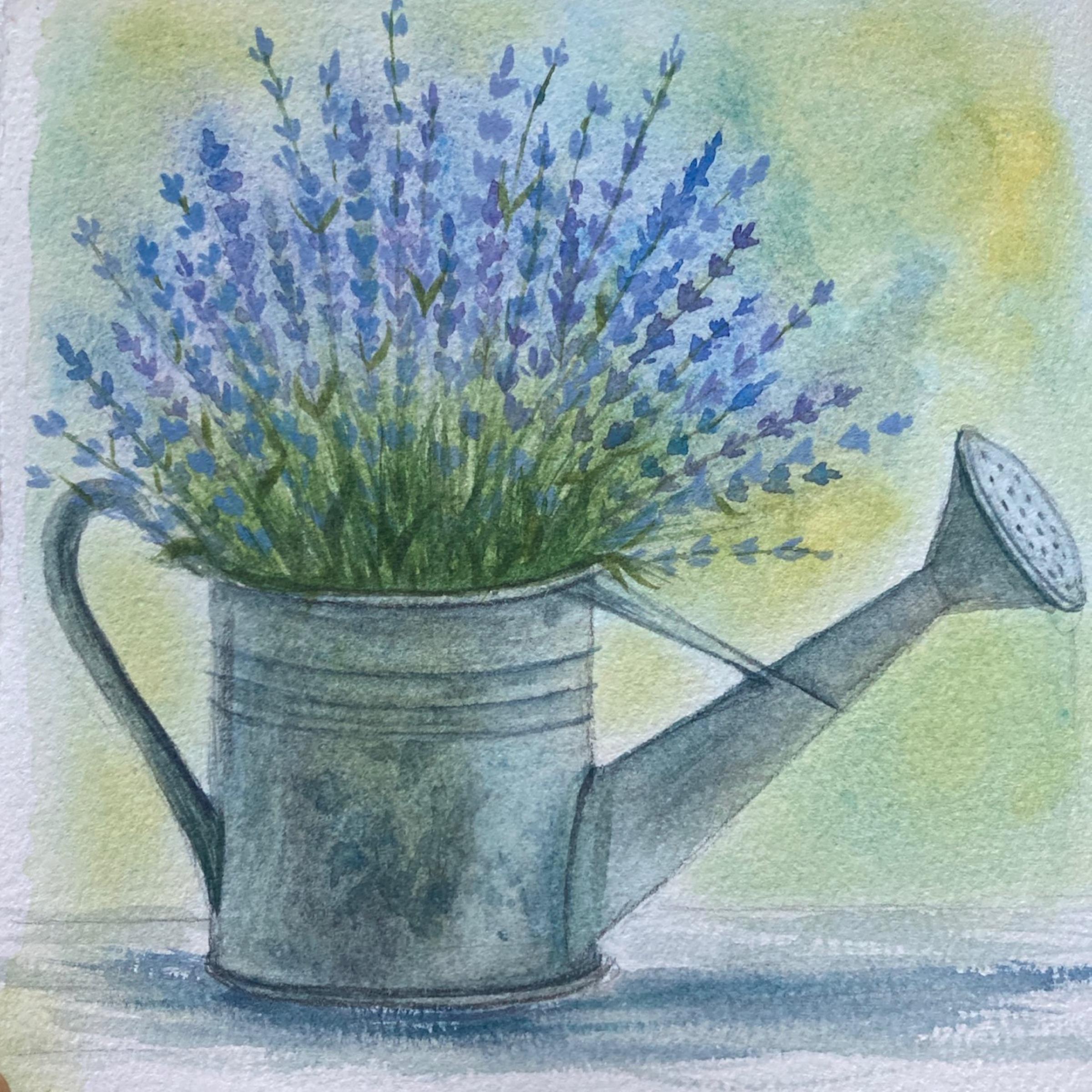 Lavender