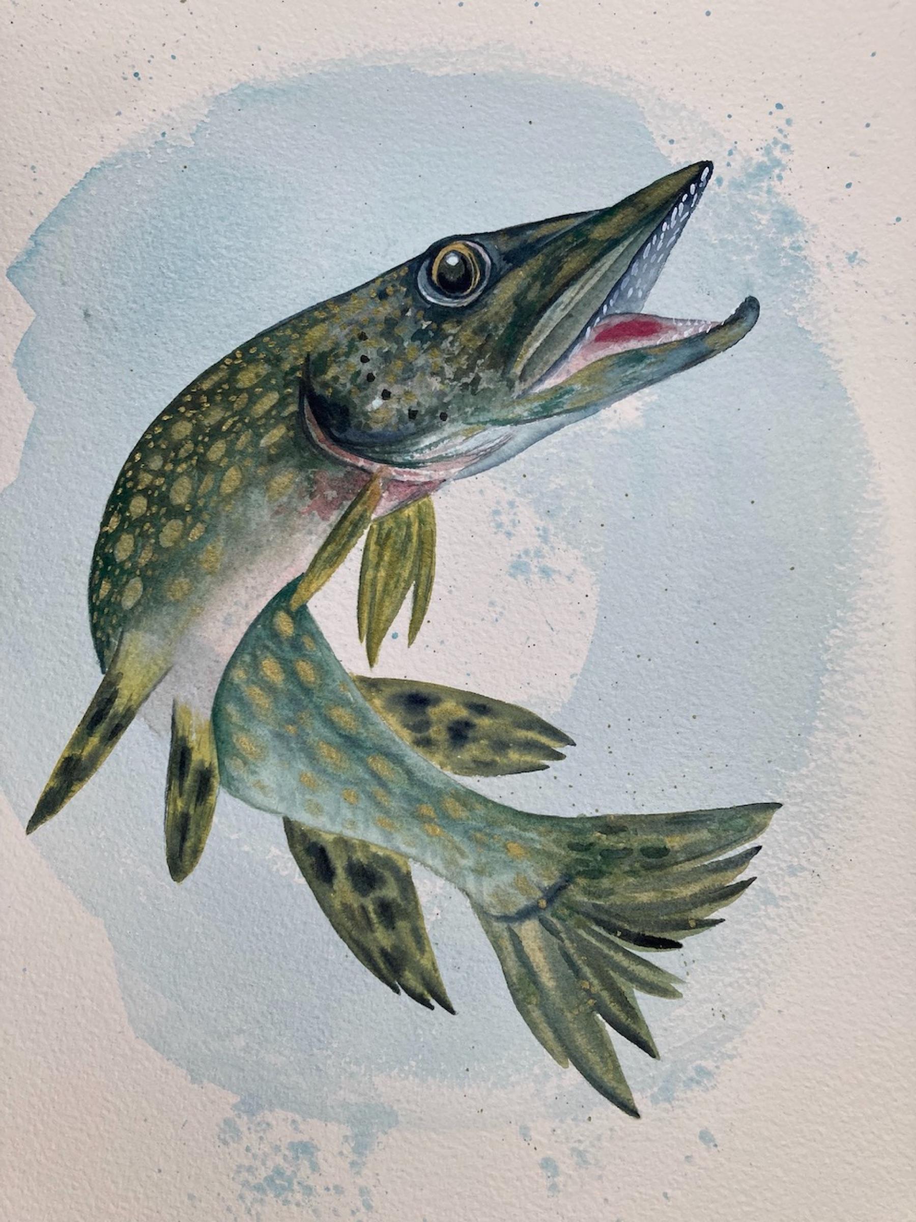 Pike