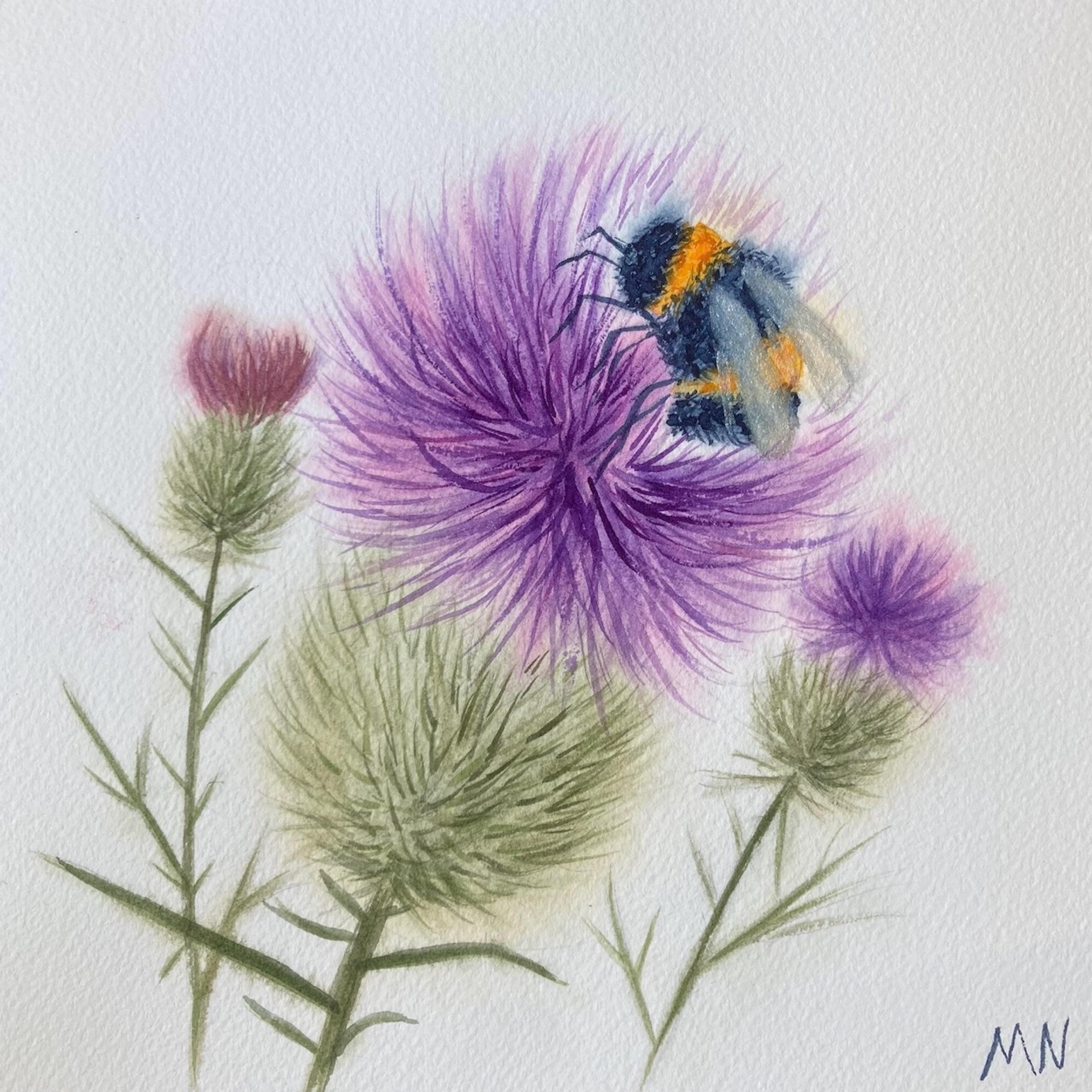 Thistle and Bumblebee