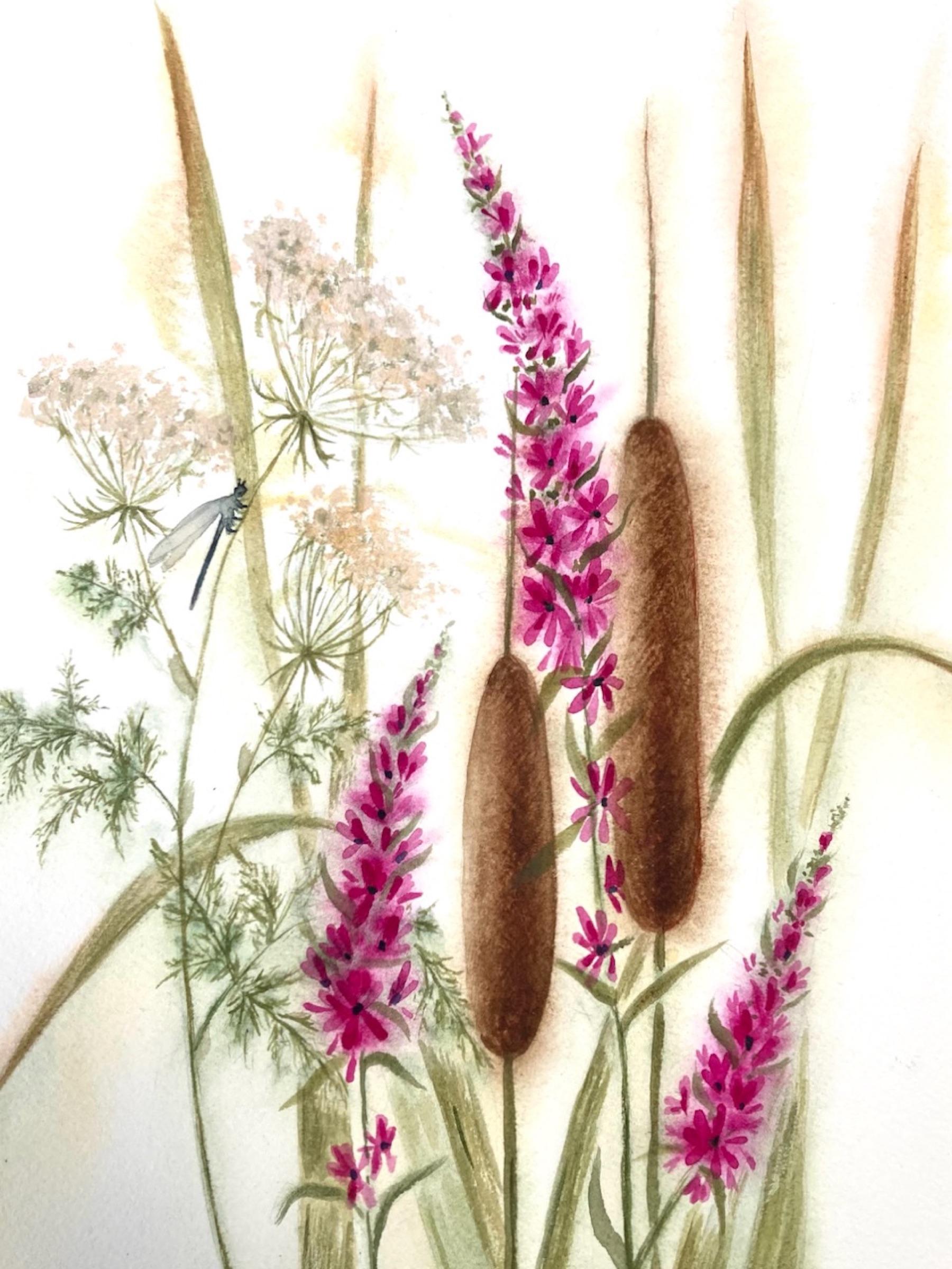 Wetland Flowers