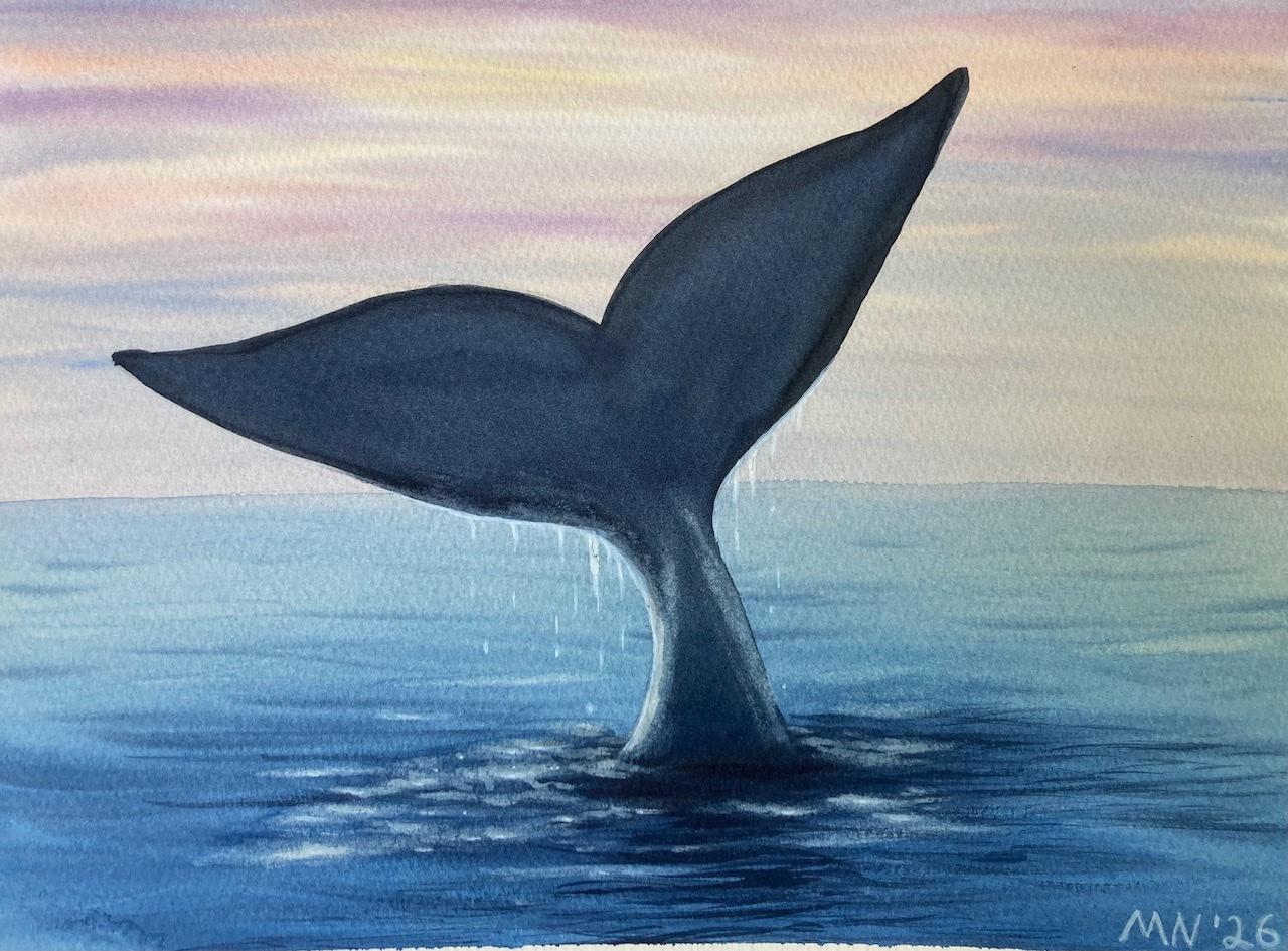 Whale Greetings